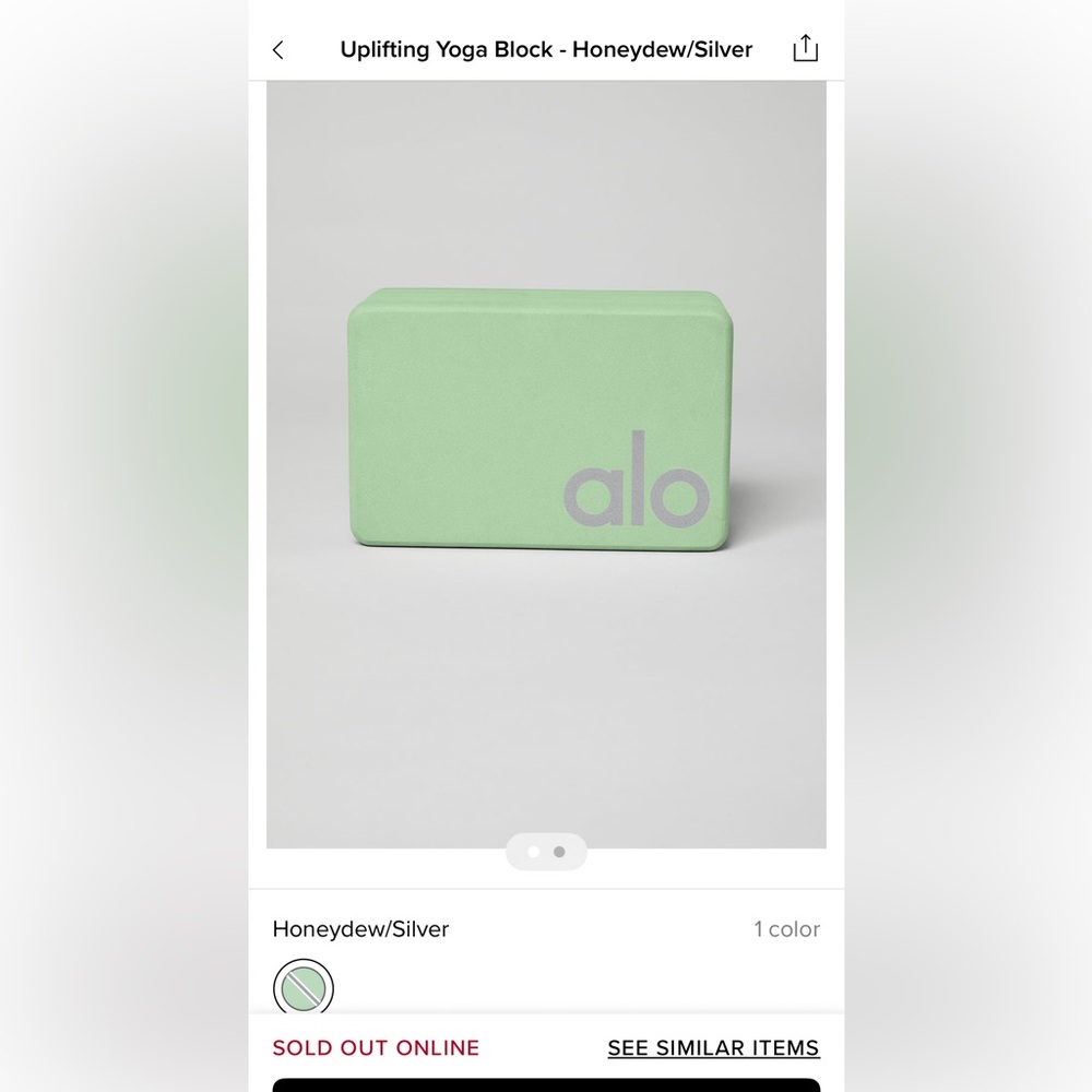 ALO Yoga Block in Honeydew and Silver